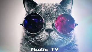 Music Mix 2024🎵 EDM Remixes of Popular Songs 🎵Gaming Music Bass Boosted🔉