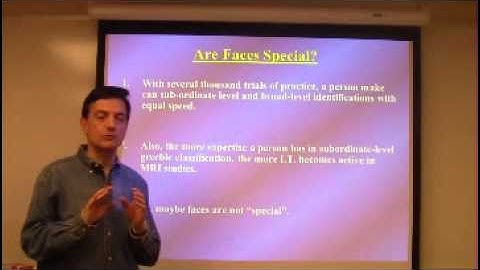 Object & Face Perception Lecture By Nestor Matthews