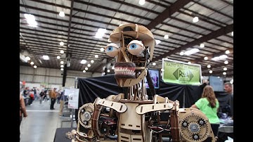 Roy The Robot (Maker Faire 2016)