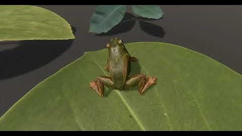 Unity Frog Procedural Animation