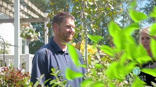 In the Garden: Deer-Resistant Plants