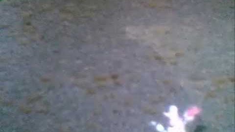 Conquer Online Music Video