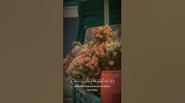 خير بداية كلام الله #تلاوة_خاشعة #قرآن #راحة_نفسية #القرآن_الكريم #حالات_واتس #اكسبلور