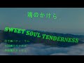 魂のかけら Sweet Soul Tenderness