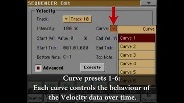 Korg PA3x Tutorial -Sequencer Mode -Velocity- Curves (Advanced mode)