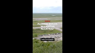 Florida begins building ‘Alligator Alcatraz’ migrant detention center in the Everglades