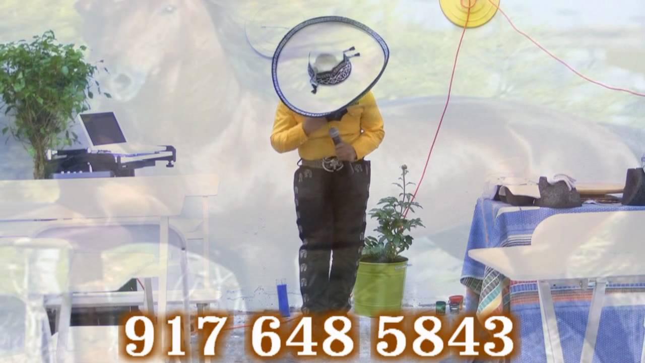 mariachis en ny 917 648 5843 mariachis en ny 917 648 5843