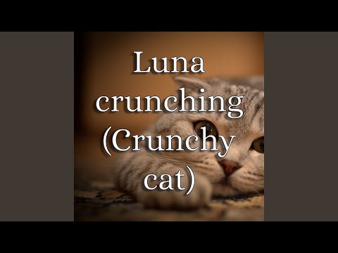 Luna Crunching (Crunchy Cat)