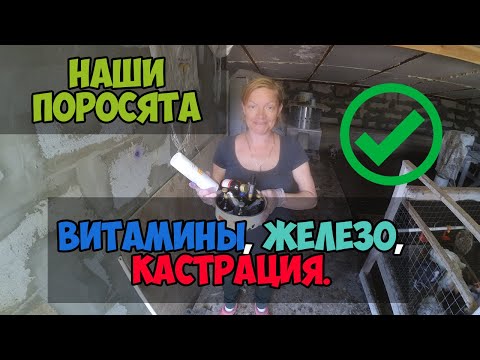 ВИТАМИНЫ и ЖЕЛЕЗО для поросят. Ветеринарные препараты.