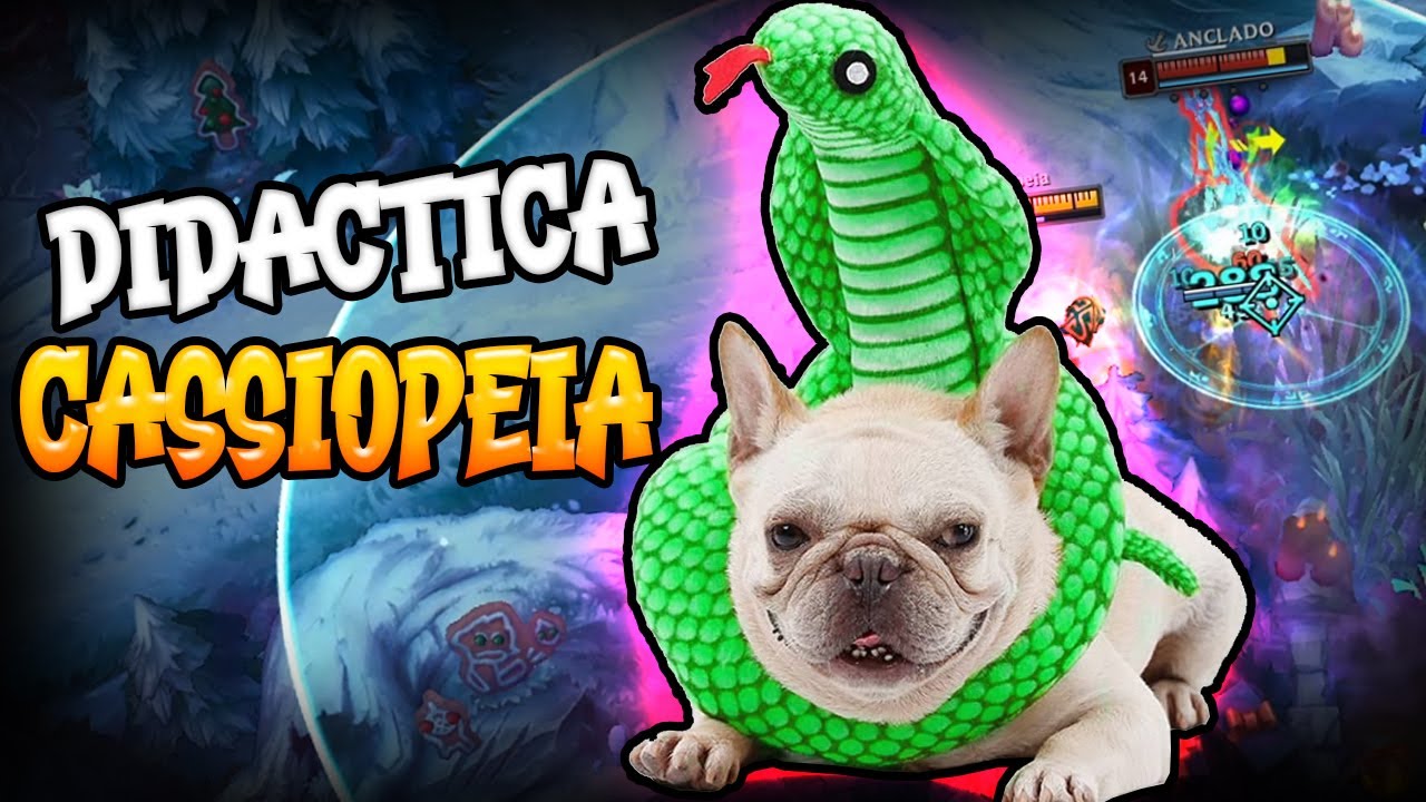 Guia Cul3r4 con ganas de CASSIOPEIA .- Cassio Mid