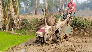 power tiller in low land for cultivation part 39 by The Tos vlogs 1,309 views 2 years ago 2 minutes, 29 seconds