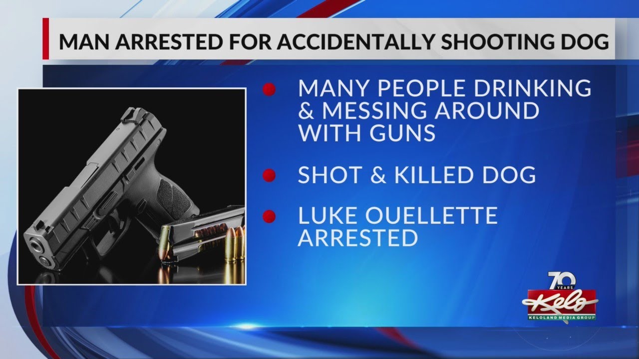 Sioux Falls man arrested after fatally shooting dog - YouTube