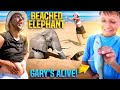 Gary the Shark is Back! + Music Video 🎵 (FV Family Capers Island Vlog)