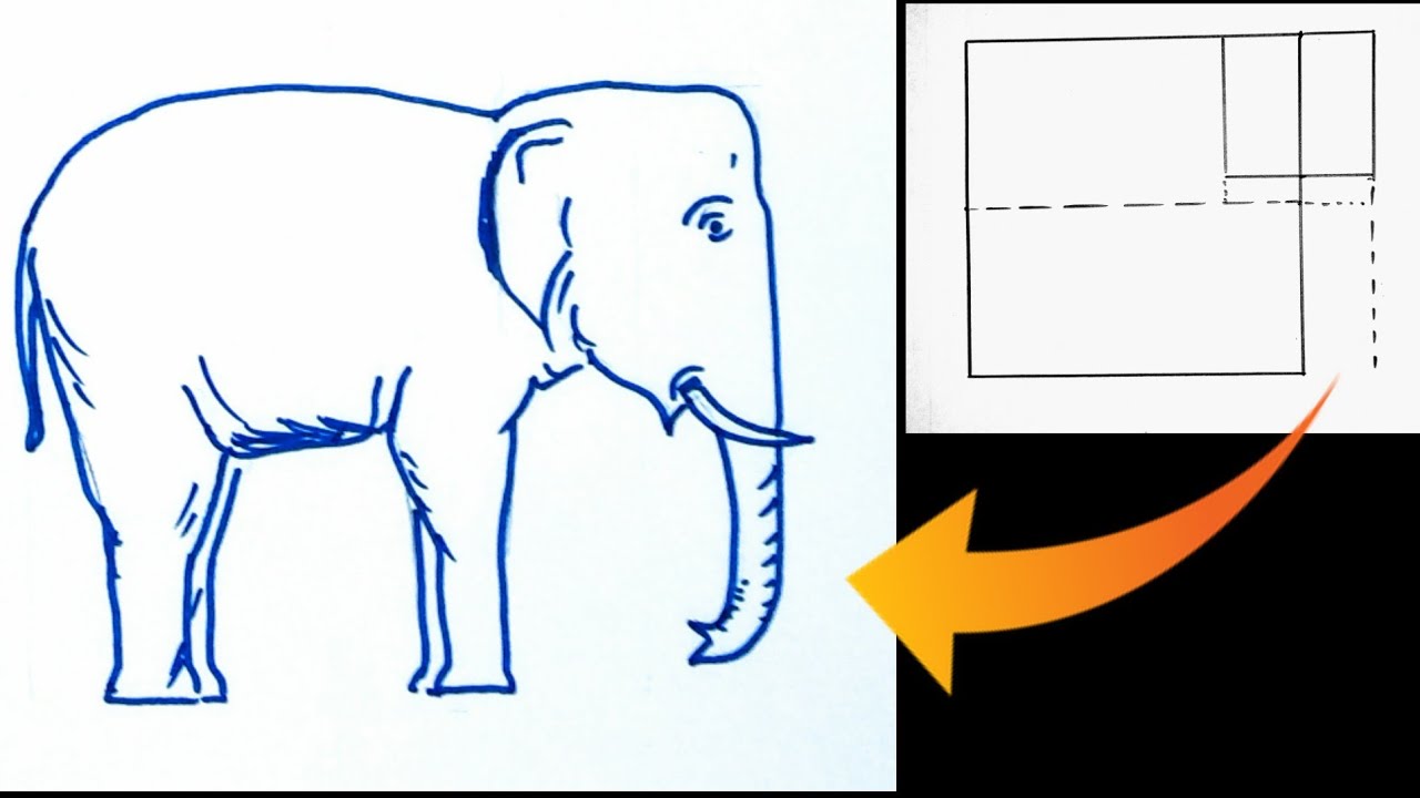 How to draw elephant step by step - YouTube