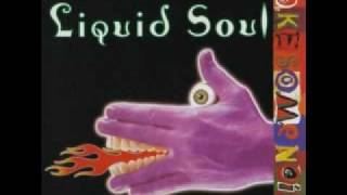 Video thumbnail of "Liquid Soul I Want You To Want Me"