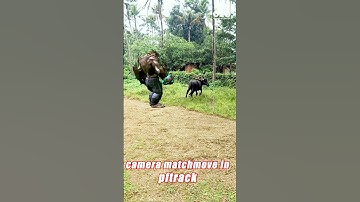 Camera Match Move | PF Track | vfx animation #vfx #studentwork #animation