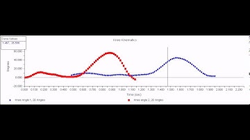 Knee Kinematics - Doug