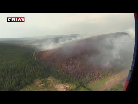 Vidéo: Leonardo DiCaprio A Attiré L'attention Sur Les Incendies En Sibérie