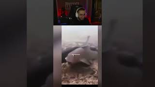 Eray Shortsta Gezerken Balık Dansına Denk Geliyor İzliyor Kendini Kaybediyor