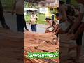 Chainsaw Master #pacujalur #fypyoutube #viralvideos