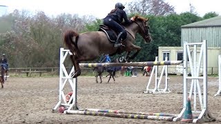 ■ 29/12/2018 - Séance de saut avec Nieland's Joris, Clara Maitre et Aurélien Lecomte Cavalier pro