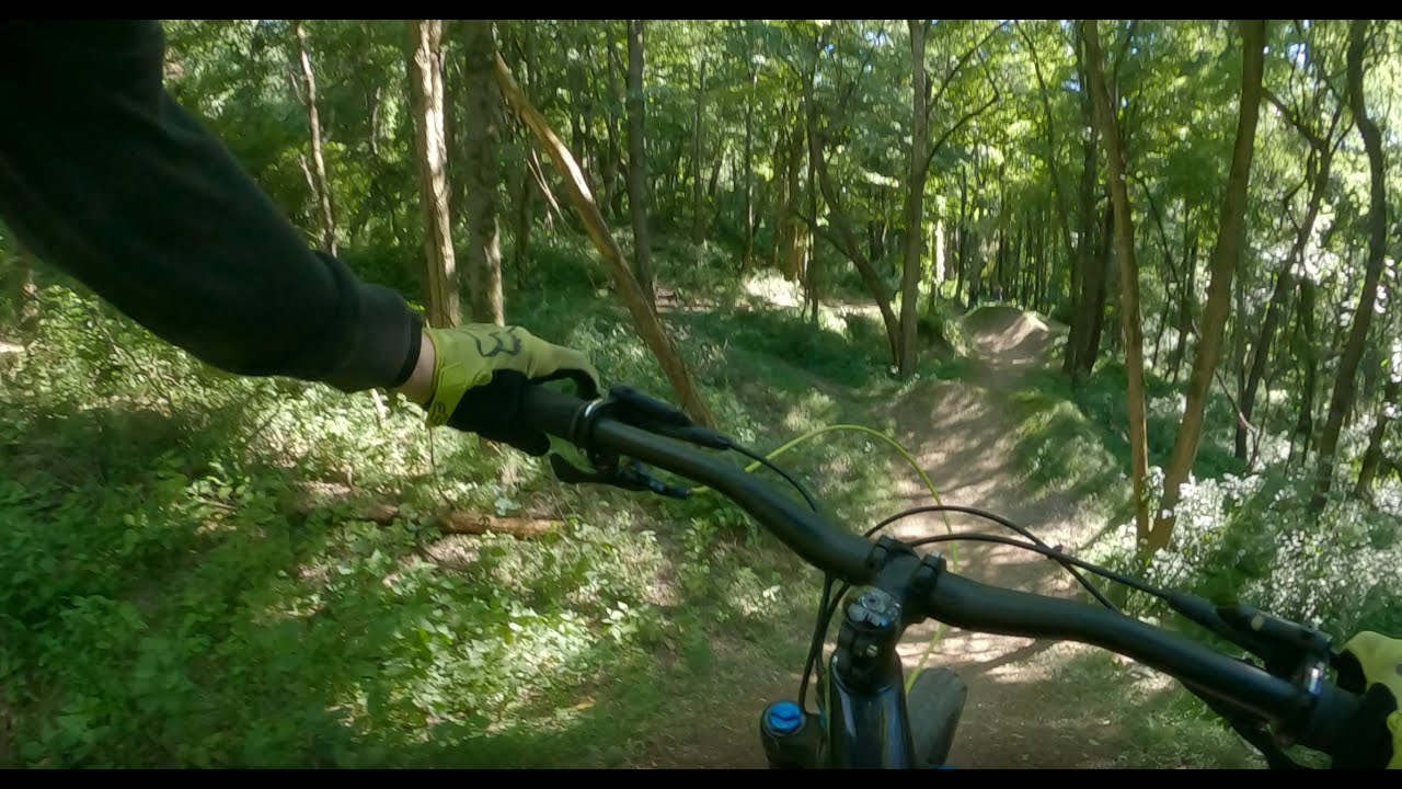 Horns Hill Slim Shady features 1 to 5 YouTube