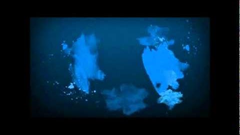 PSD to Magento themes