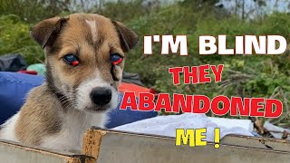 Rescued A Blind Puppy That Was Abandoned In The Dump