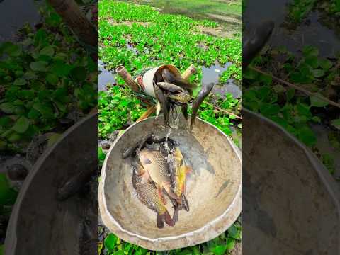 Amazing Beautiful fishing with plastic pipe #fishing #bestfishing #fishtrap #shorts