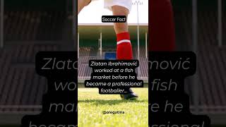 Soccer fact - Zlatan Ibrahimovic #soccer #football #zlatan