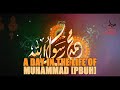 A Day In The Life Of Muhammad [S]