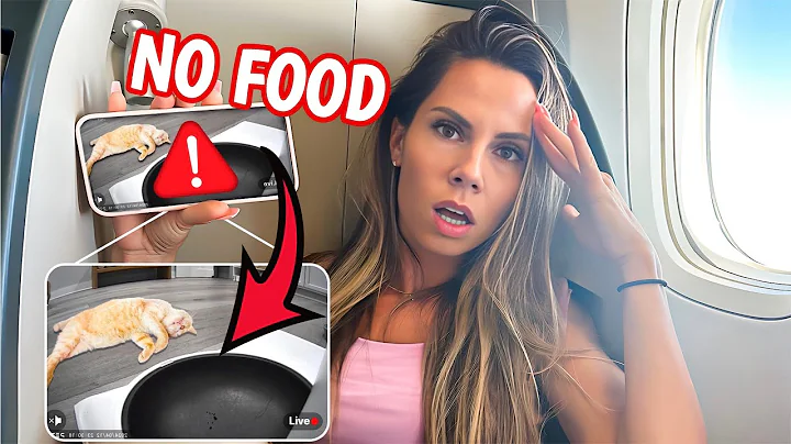 WE HAVE TO SAVE OUR CAT *5,000 miles away*