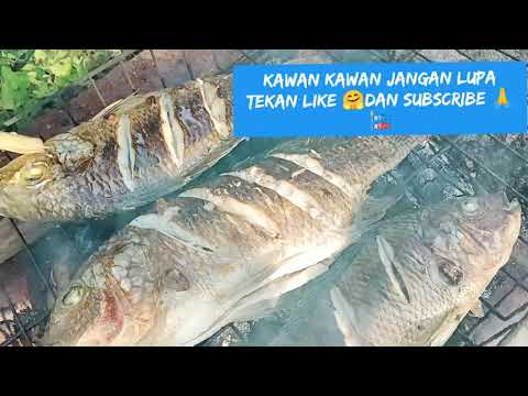 Resep Ikan Bakar Jayapura