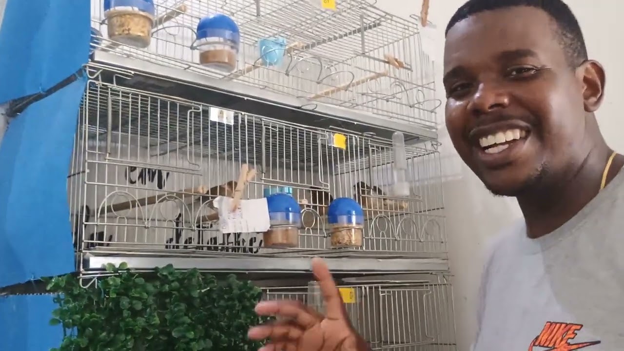 Apresentação dos filhotes 😍😍