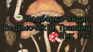 🍄ПОДБОРКА ВИДИО ТИК ТОК ДЛЯ ВЕДЬМОЧЕК И ТРАВНИЦ🍄💋 1 часть - 15 ✅