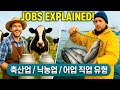 Livestock and dairy industry , Fishing industry (축산업 / 어업)