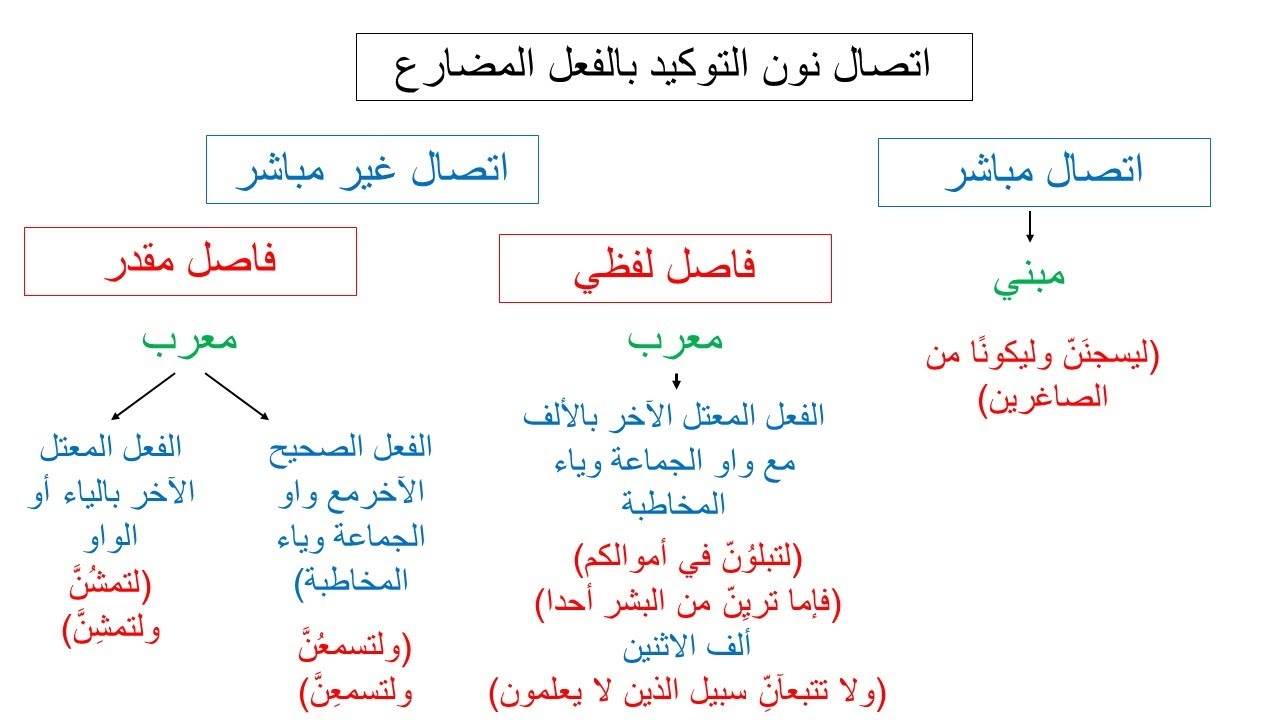 حالات اتصال نون التوكيد بالفعل المضارع