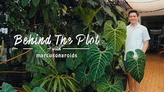 Building Your Dream Garden At Home! Behind The Plot With Marcusonaroids