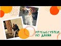 Небольшое путешествие по Дании + мой сад: посадки, уборка и жучки!