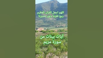 آيات بينات من الذكر الحكيم #قرآن #اكسبلور #quran #قران_كريم #قران #القرآن_الكريم #explore #youtube