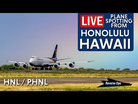 Live Planespotting at HNL Honolulu Airport | Real-Time Arrivals & Departures 30