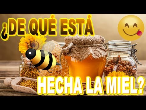 Video: Que Esta Hecho De Miel