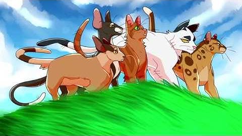 Hopeless Wanderer | Firestar PMV [Part 21]