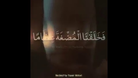 سورة المؤمنون [ آيه ١٤ ]