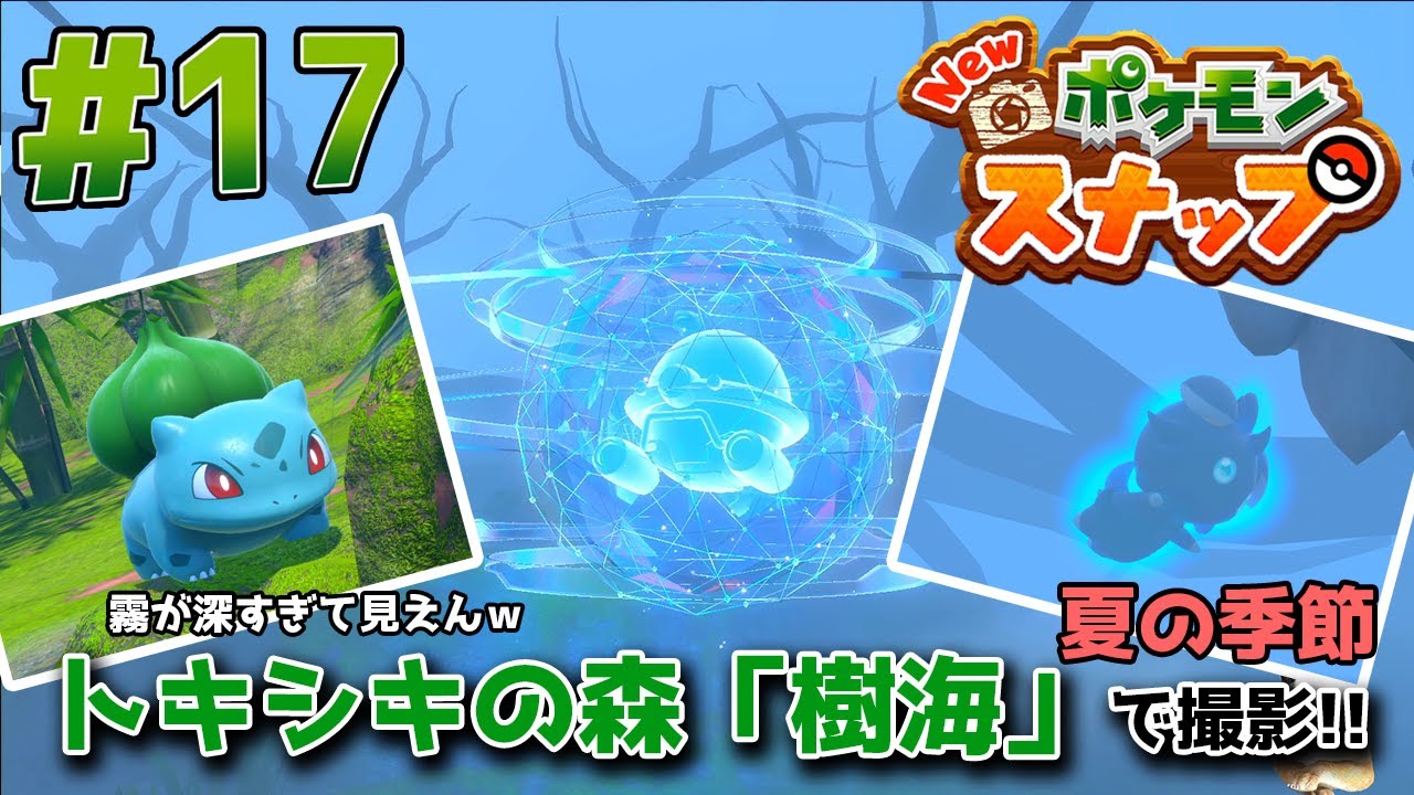 Newポケモンスナップ トキシキの森 樹海 17 Youtube