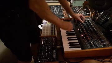 MFB Dominion1 Filter modeling