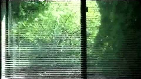 Crazy Robin Attacks Window