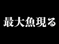 動画史上最大のバスが釣れた!【バス釣り】