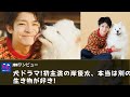 【岸優太】犬ドラマ!初主演の岸優太、本当は別の生き物が好き!