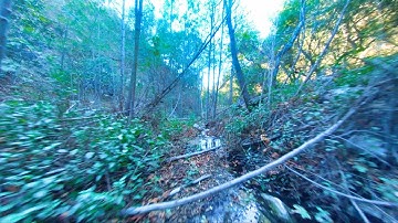 FPV Nature Exploring